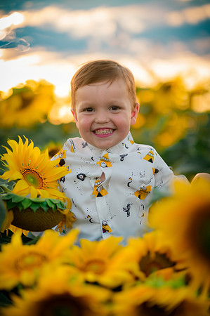 MJ Sunflower 3